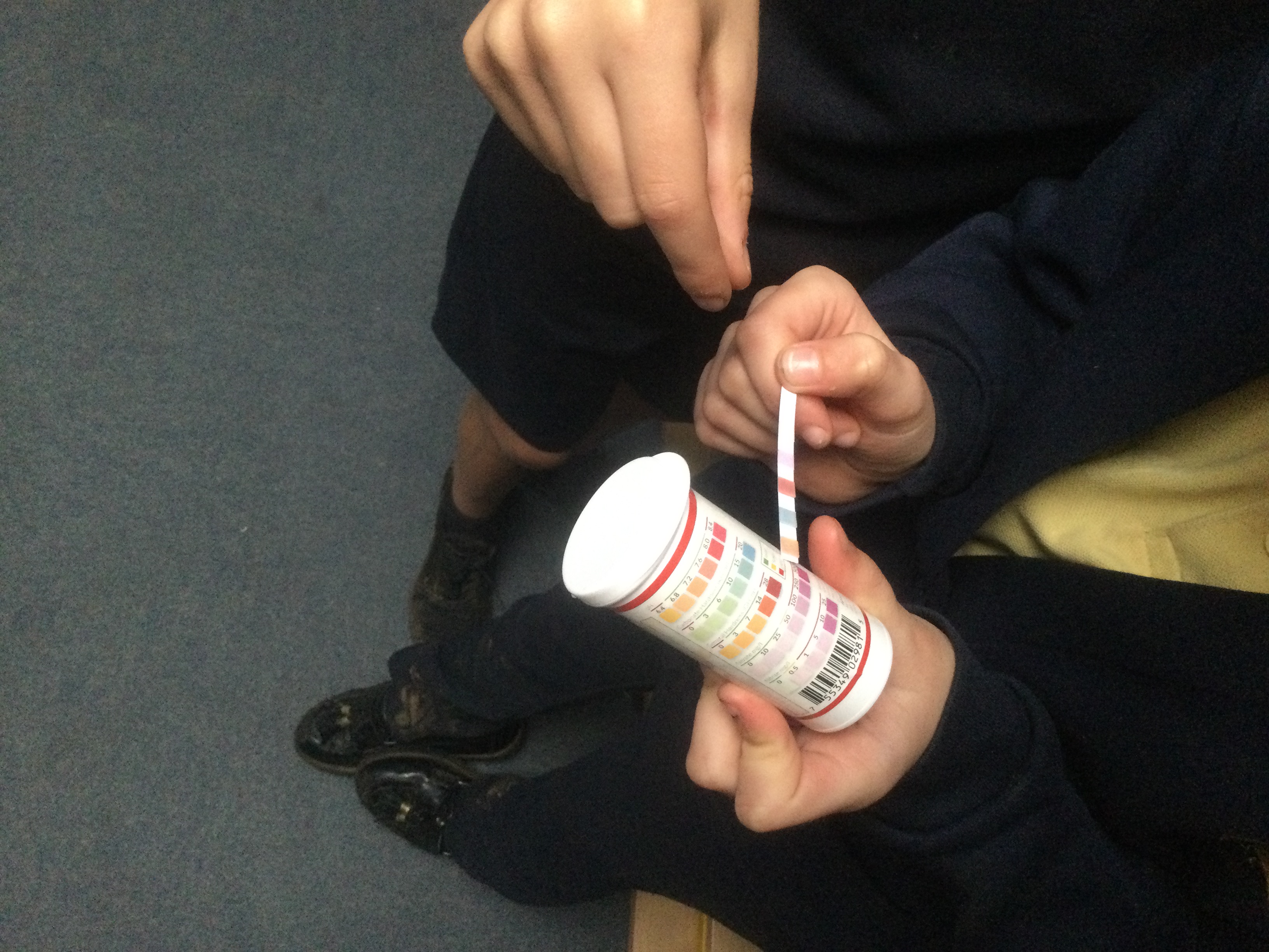 Gade Valley Primary School - Fishkeeper Fry 2026