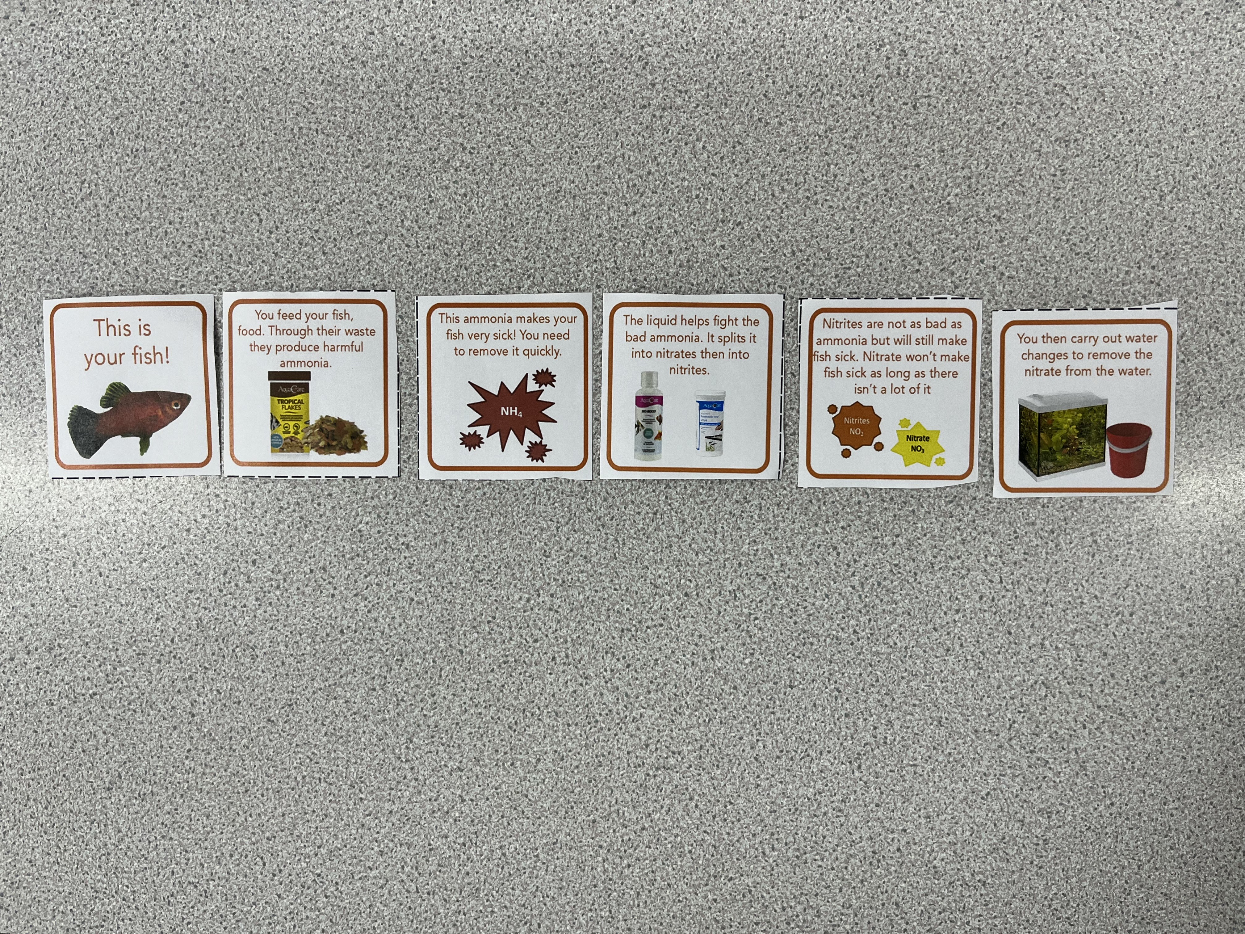 Felton C of E Primary School - Fishkeeper Fry 2026