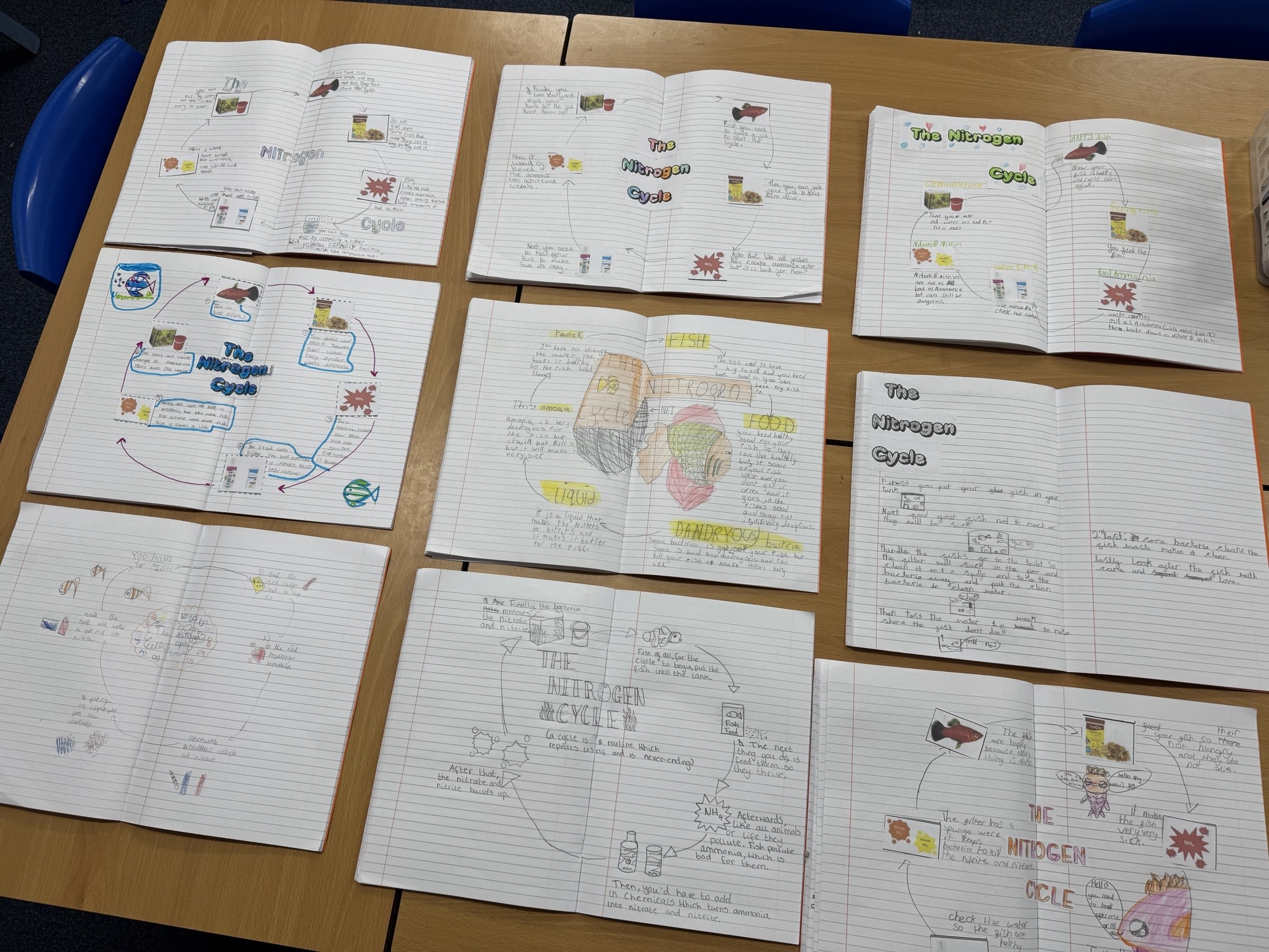 St. Michael's C of E Primary School Students nitrogen cycle worksheets