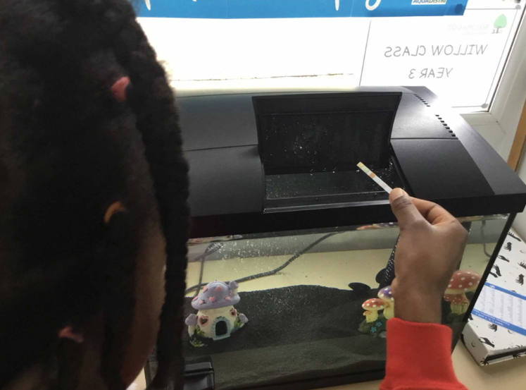 Beechwood Primary School student testing their water