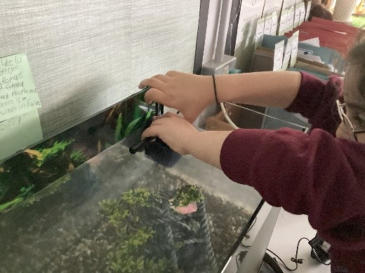 Ley Valley Primary School- Fishkeeper Fry - Maidenhead Aquatics