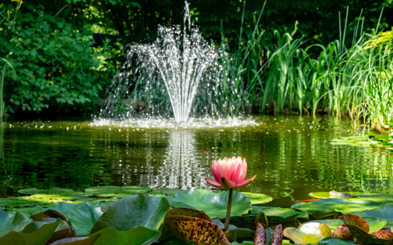 garden pond with water feature