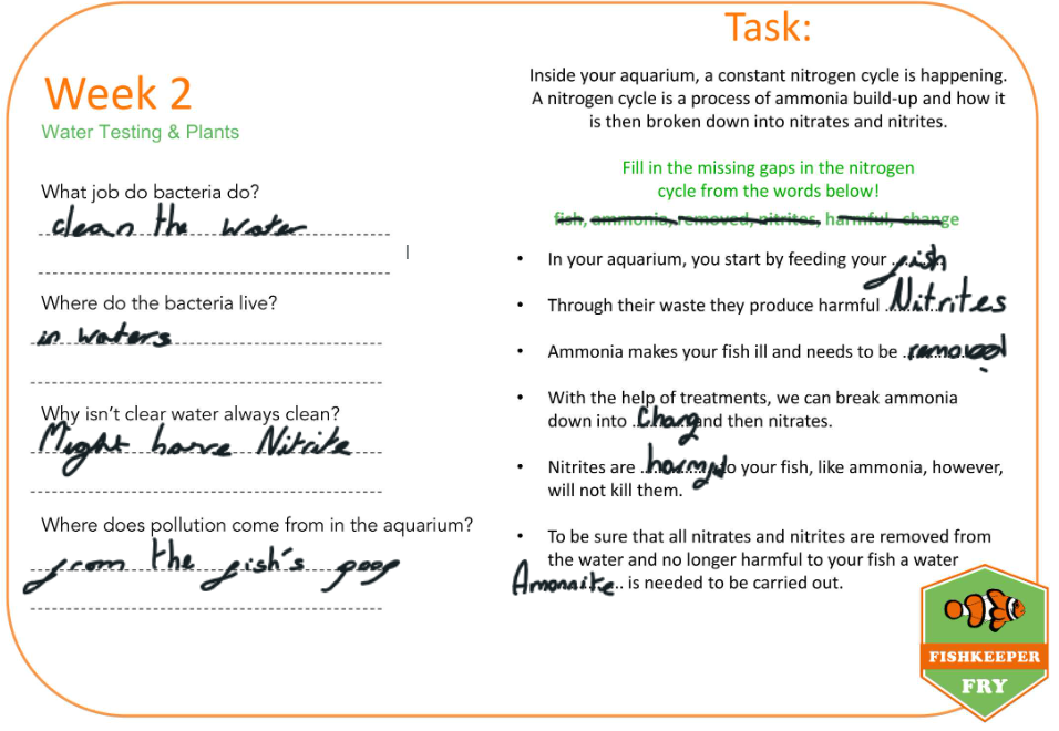 Beechwood Primary School quiz activity