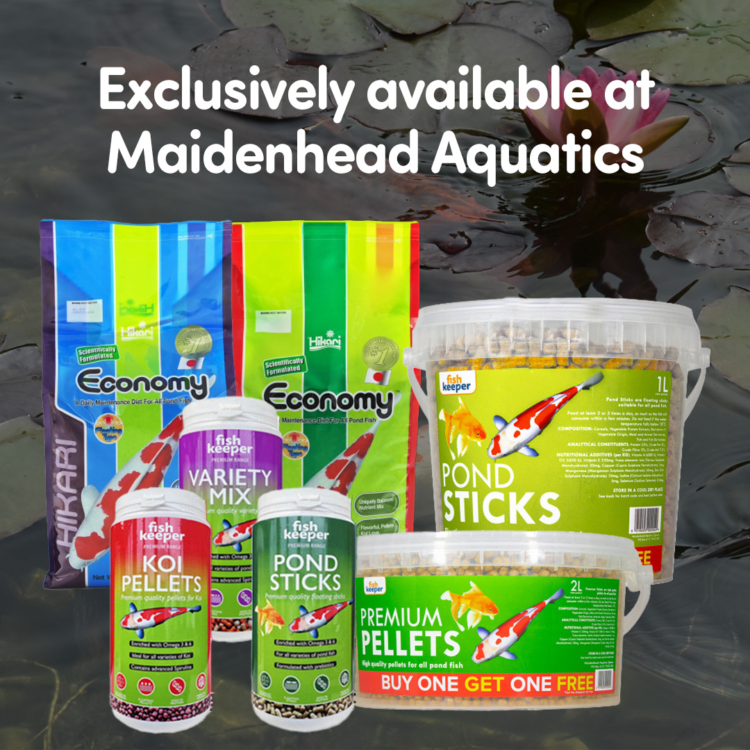 Exclusive Pond food at Maidenhead Aquatics