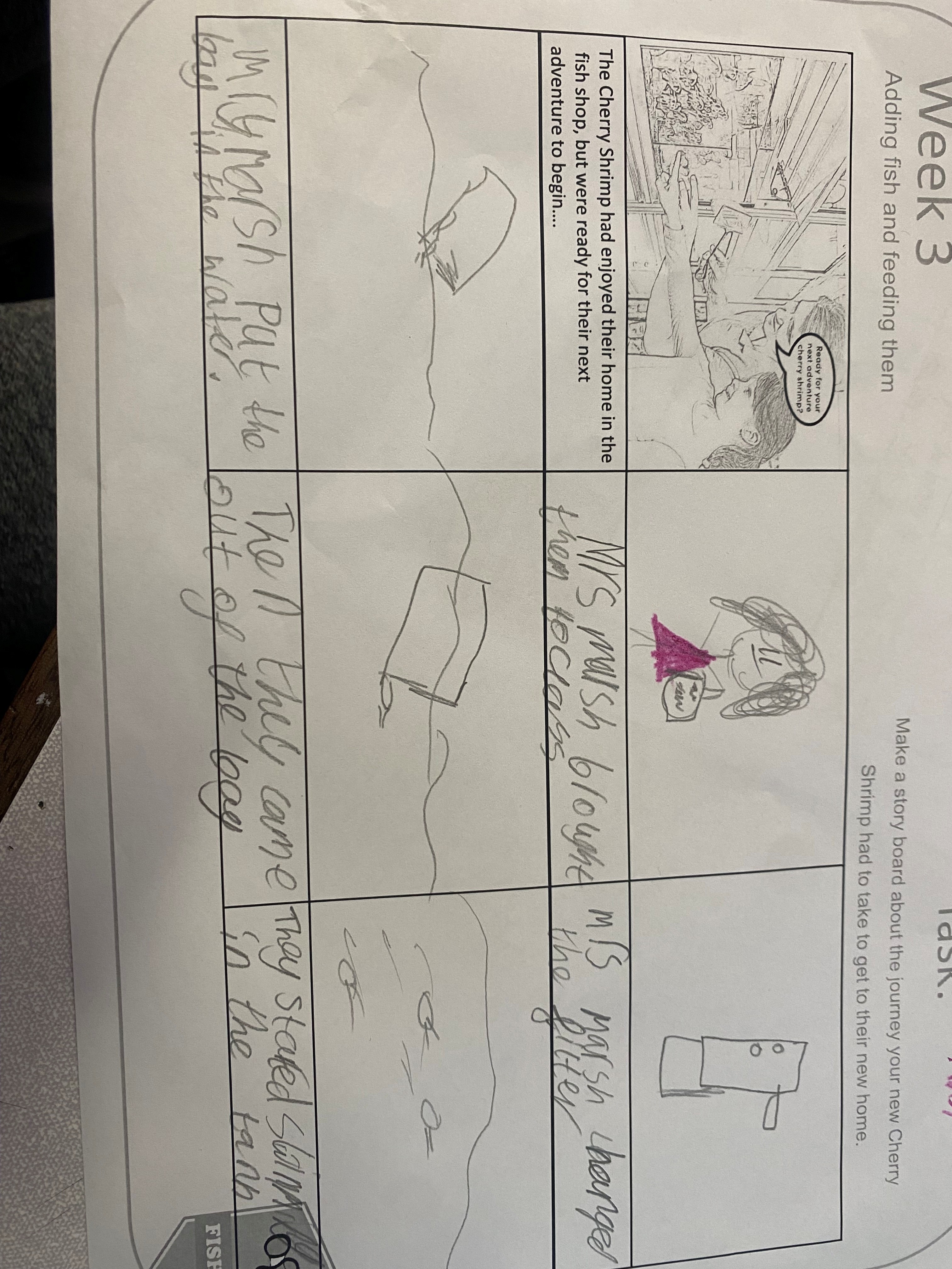 Nacton Church of England Primary School - Fishkeeper Fry 2026 - Maidenhead Aquatics