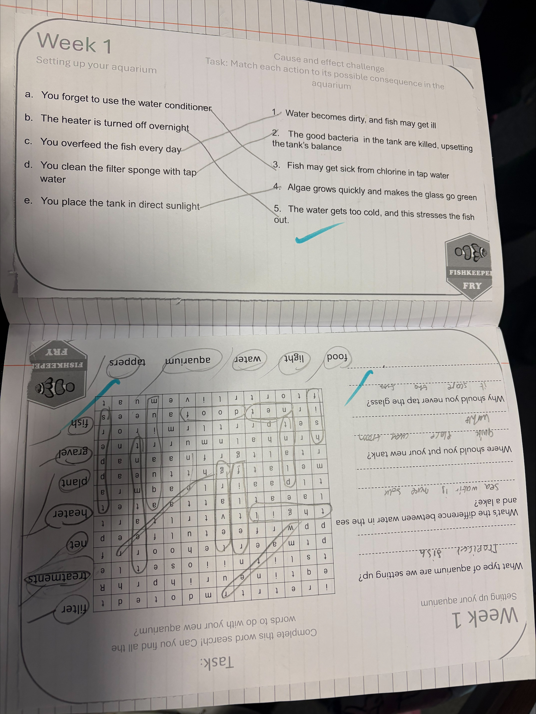 Rimon Primary School - Fishkeeper Fry - Maidenhead Aquatics