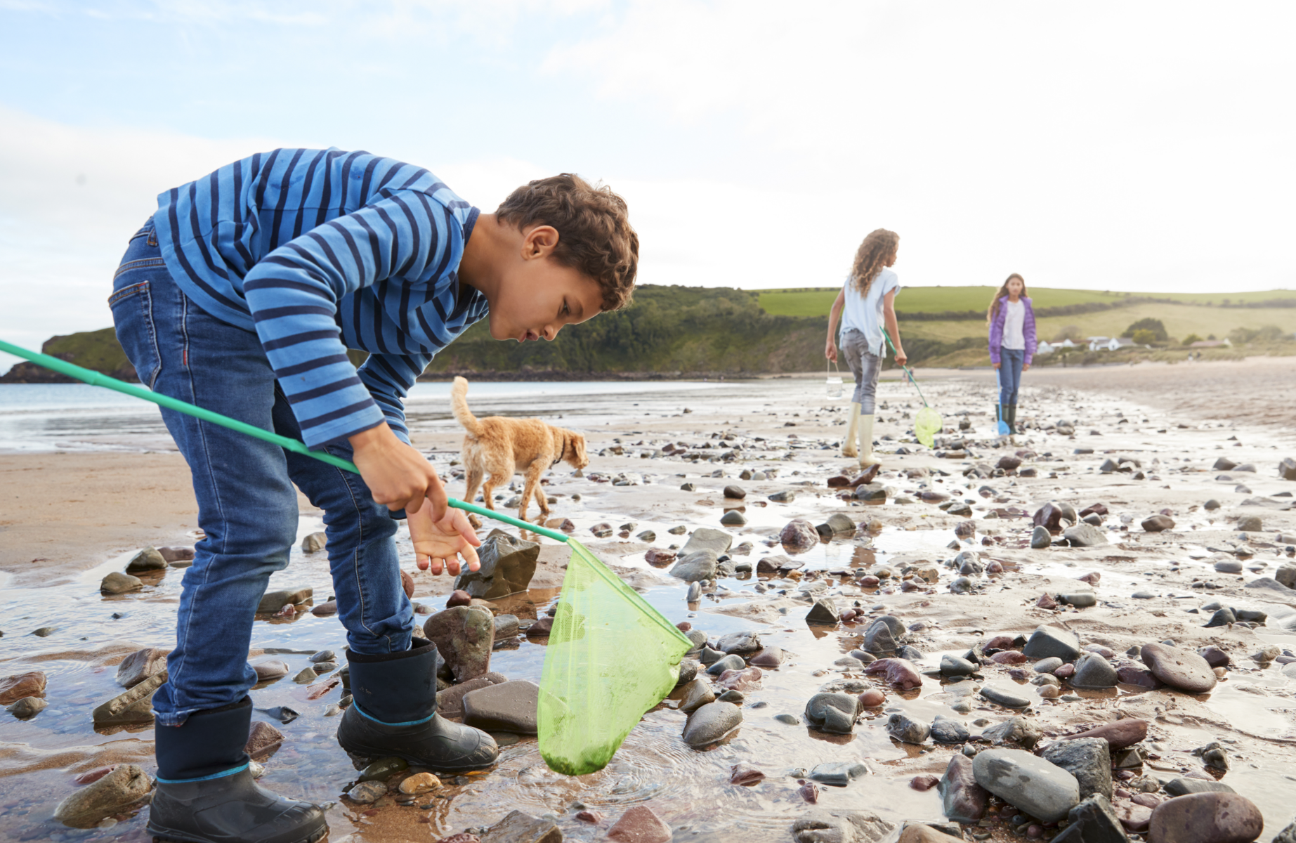 Children rock-pooling on the beach