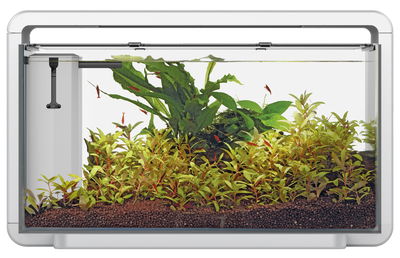 superfish home 80 remove filter box