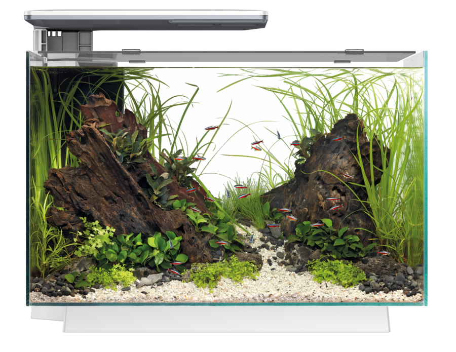 Superfish Quadro 70 Pro LED Aquarium White