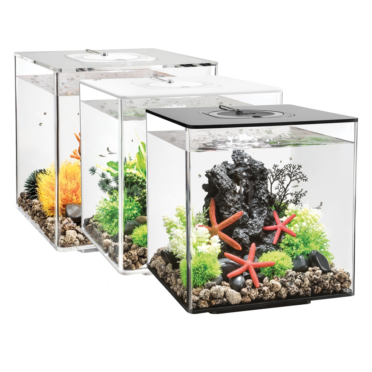 cube aquarium