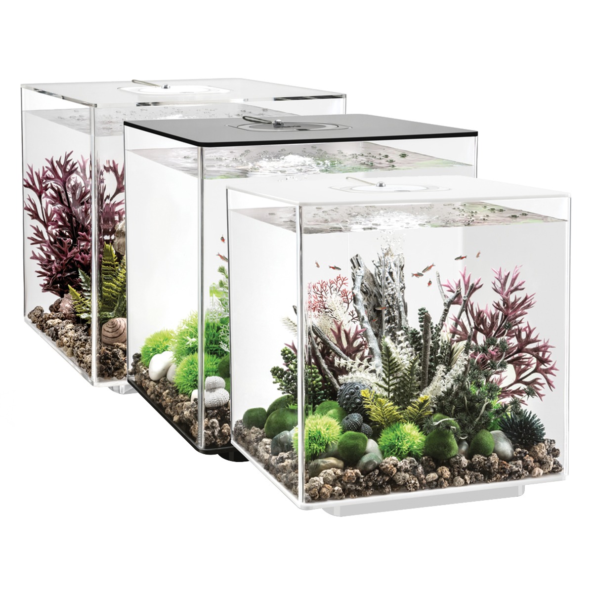 cube aquarium