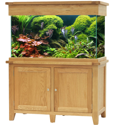 oak aquarium